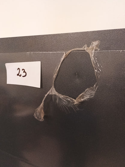 Drzwi zewnętrzne Disting model prototypowy - 2 gatunek kolor ANTRACYT "90" prawe